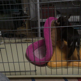 こんな事 できます。の画像