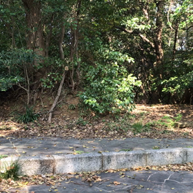 3月 Part 23の画像