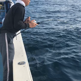 BP612 ファイトの画像