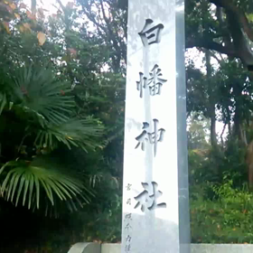 白幡神社の、映像！の画像