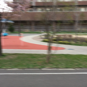 今日は昭和の日の画像