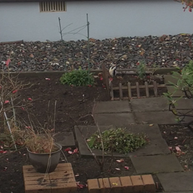 一瞬なのでの画像