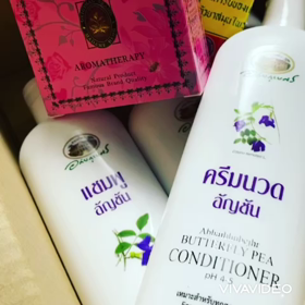 キタキタ！の画像