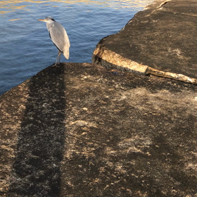 神戸の良い波止の画像