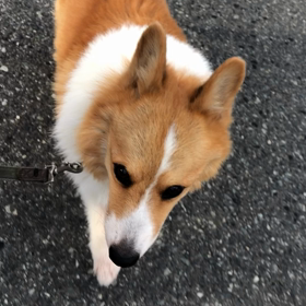 カウントダウン⁉︎の画像