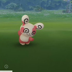 今月のパッチールの画像