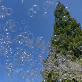 #今ふと思ったこと　　綺麗さっぱり消えて無くなれ〜の画像