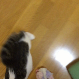 言いたいことの画像