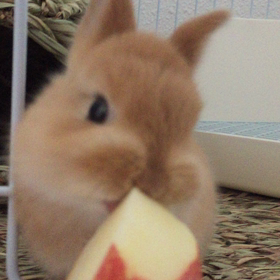 おやつもらったよ〜✩︎⡱の画像