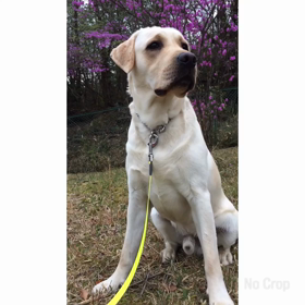 We can hear bird song.♬の画像