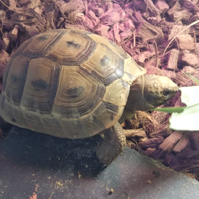 名札騒動の画像