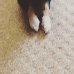 私よりマテがうまいの画像