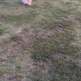 良い場所あったんじゃんの画像