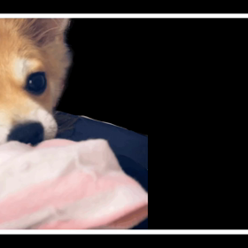 ねぇねのくつ下。の画像