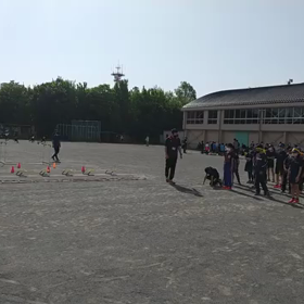 ダッシュの場⑦の画像