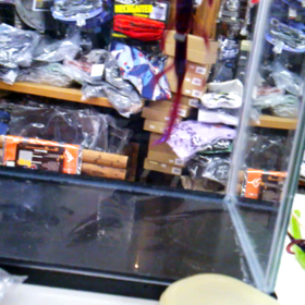 アノストプラスネコ(movie)の画像