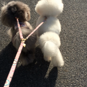 ぴったんこ♡ ♡の画像