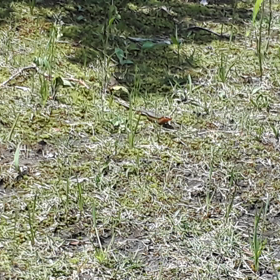 番外編②の画像