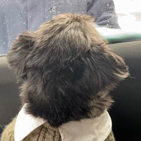 寂しがり屋のななさんの画像