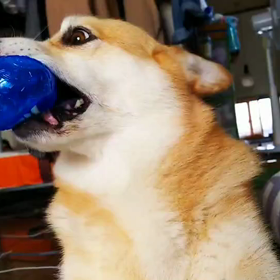 風邪っぴきなのに．．byちゅまの画像