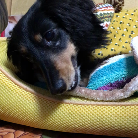 今年一年お世話になりました❤︎の画像