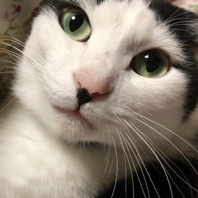 今日のぐるぐるとの画像