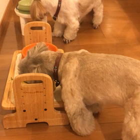 ゴハン最強説の画像