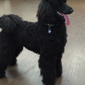 寒くなりましたの画像