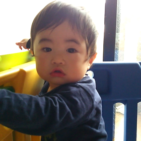 お腹の中の天使。の画像