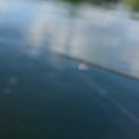 伊万里湾ボートフィッシング！の画像