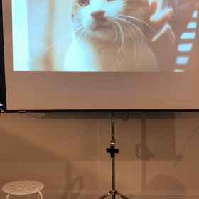 にゃかぺらの画像