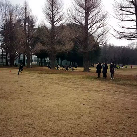 リレーバトン練習 男子③の画像