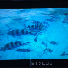 タハア島出発の画像