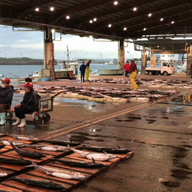 豊浜朝市の様子！鰆が豊漁！の画像