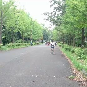 9月21日 100mBグループ⑨の画像