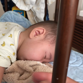 いつもの朝の画像