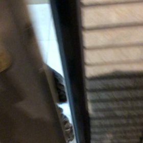 いそがしい昨日とデールのお出迎え！保育園豆まきと恵方巻き。の画像