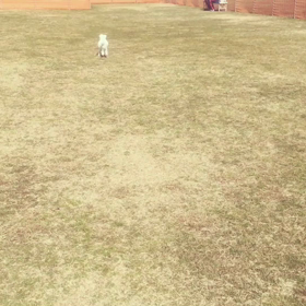 ☆寒くても平気☆の画像