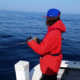 本日の動画その6の画像