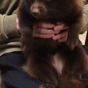 肩もみ気持ちいいなぁ〜の画像