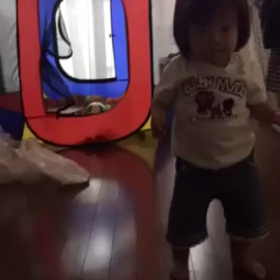 動画投稿の画像