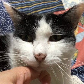 スリスリの画像