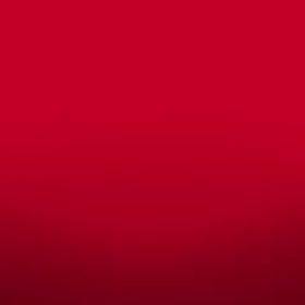 自分にウソだきゃつかないことの画像