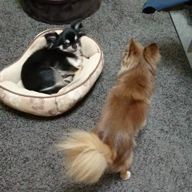 プレッシャー。の画像