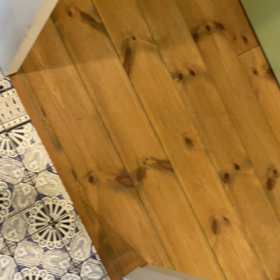 あっちうろうろこっちうろうろの画像