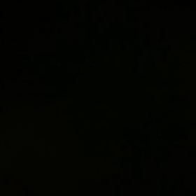 今日は文鳥の日の画像