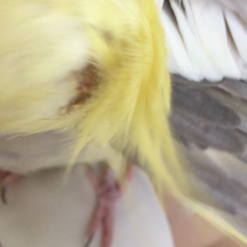 今日から中間テストの画像