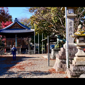 リラックス〜〜♪  ♡( ´∀｀)♡    ＆　108本、109本／100本の画像