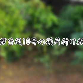 台風一過の後片付け作業〜。の画像