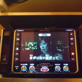 歌ってみた…⑦の画像